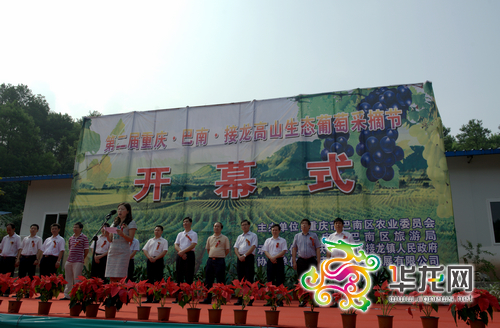 第二届巴南区接龙镇高山生态葡萄采摘节今日开
