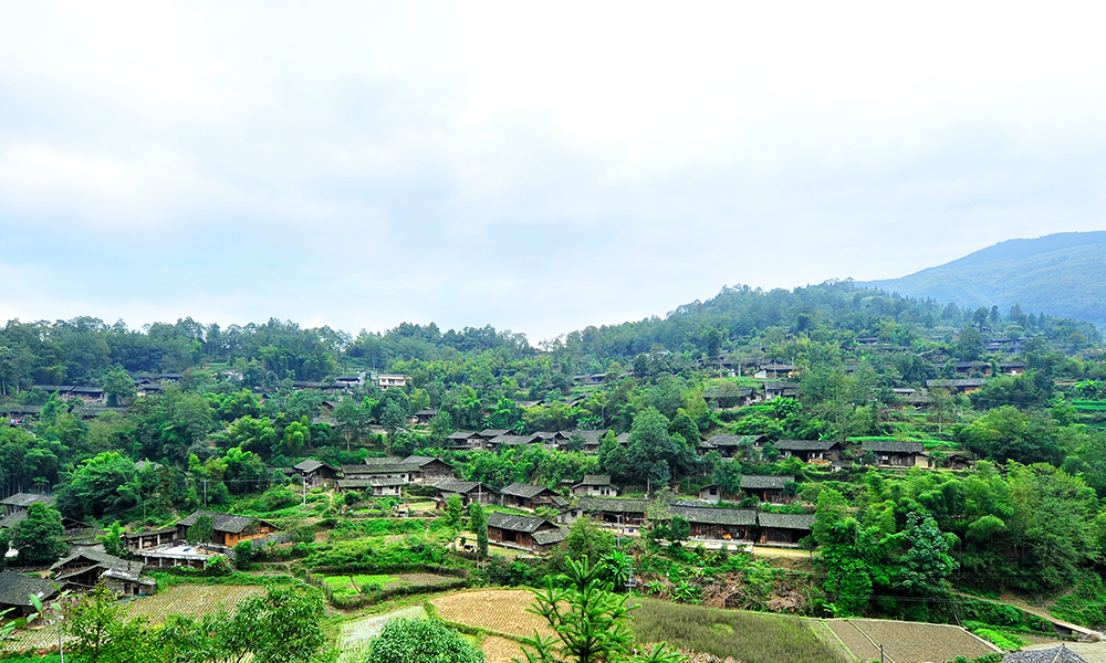 ɽشկȫòϪɽίͳսͼ