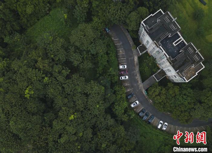 重庆玉龙公园：丛林里隐藏旧石器遗址