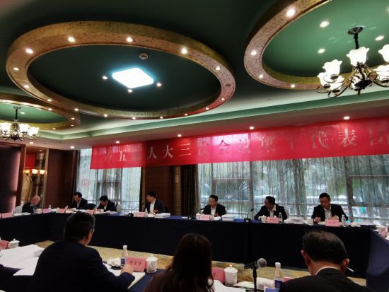 重庆市第五届人民代表大会第三次会议启幕