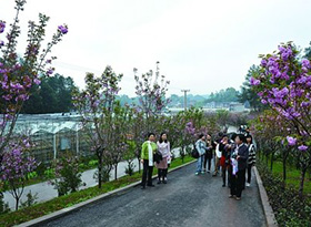 重庆渝北集散中心到重庆铜梁锦绣江南营业点要