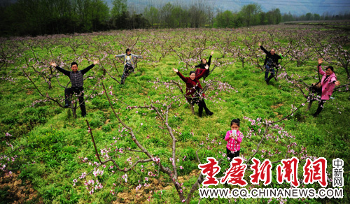 重庆酉阳千亩桃花绽放引人游--重庆新闻网
