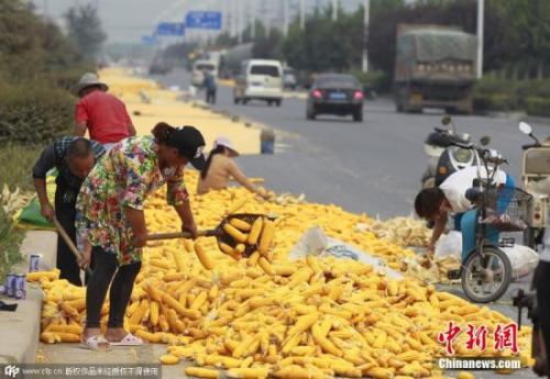 多部委密集回应民生热点话题 合力整治奇葩证