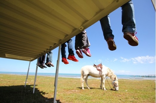 寻梦青海湖九寨沟 集客·微托邦集装箱创意旅