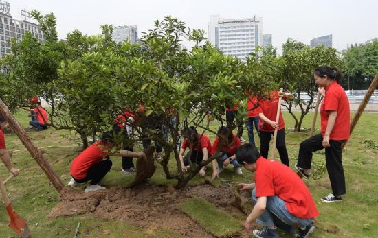 图为青年志愿者种植脐橙树。吴海东 摄 图为青年志愿者种植脐橙树。吴海东 摄