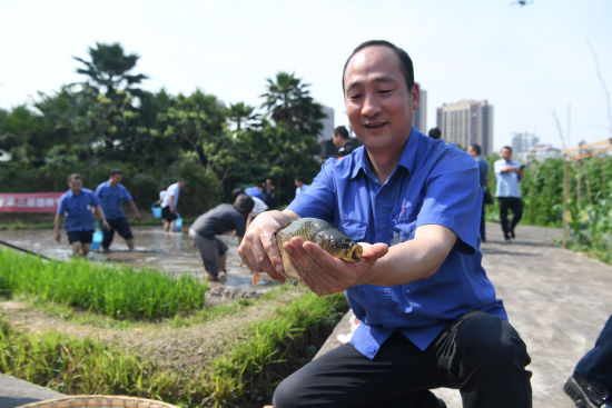 图为员工们正在进行捉鱼比赛。陈超 摄 图为员工们正在进行捉鱼比赛。陈超 摄