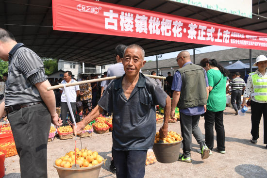 图为果农正在出售枇杷。陈超 摄 图为果农正在出售枇杷。陈超 摄