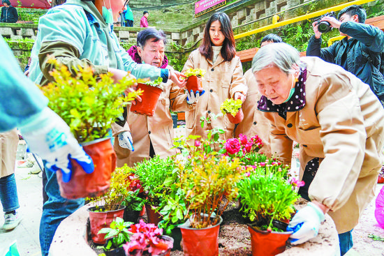 ▲2022年2月26日,两江新区邢家桥社区,居民和志愿者一起参与“亲邻自然”生态花园共建计划,打造自己心中的社区花园。记者 崔力 摄/视觉重庆 ▲2022年2月26日,两江新区邢家桥社区,居民和志愿者一起参与“亲邻自然”生态花园共建计划,打造自己心中的社区花园。记者 崔力 摄/视觉重庆