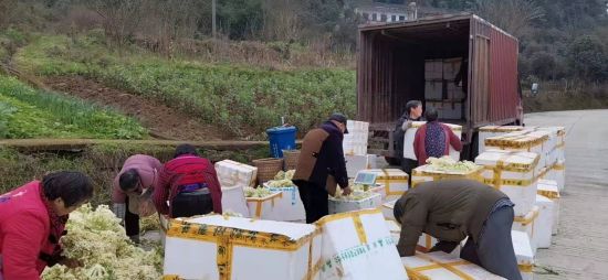 图为农民搬运物资。受访者供图 图为农民搬运物资。受访者供图