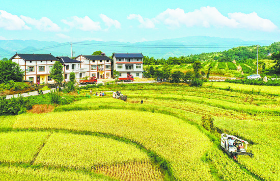 图为2020年8月25日,渝北区千盏村,一幅美丽的秋收画卷。近年来,该村以人居环境整治为抓手,把闲置农房精心打造成民宿,美了家园,富了村民。记者 万难 摄/视觉重庆 图为2020年8月25日,渝北区千盏村,一幅美丽的秋收画卷。近年来,该村以人居环境整治为抓手,把闲置农房精心打造成民宿,美了家园,富了村民。记者 万难 摄/视觉重庆