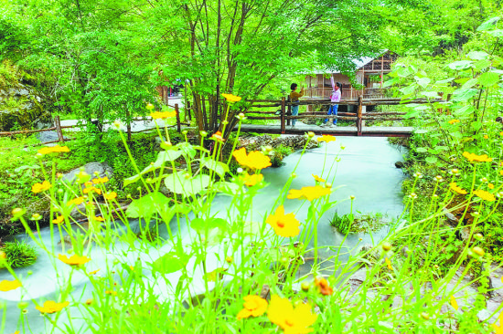 图为5月17日,秀山县石耶镇八寨沟露营基地,游客在郁郁葱葱的山间便道上观光拍照。记者 崔力 摄/视觉重庆 图为5月17日,秀山县石耶镇八寨沟露营基地,游客在郁郁葱葱的山间便道上观光拍照。记者 崔力 摄/视觉重庆