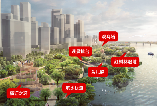外江红树林湿地修复区概念方案设计; © 明珠湾管理局+中建西南院 外江红树林湿地修复区概念方案设计; © 明珠湾管理局+中建西南院