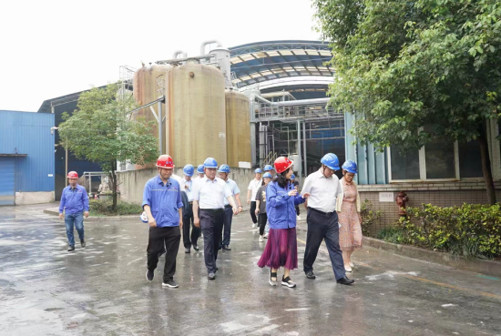 图为民建重庆市委员会调研组走访企业。 民建重庆市委员会供图