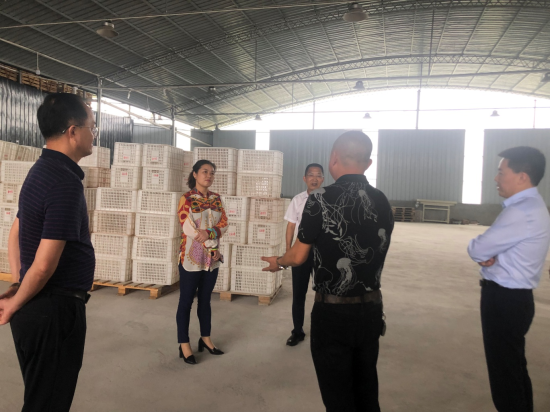 图为潼南区领导带头走访民营企业。 潼南区委统战部供图 图为潼南区领导带头走访民营企业。 潼南区委统战部供图