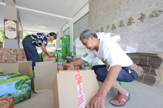 7月9日,果农正在将当天采摘的二圣梨打包快递。 何蓬磊 摄 7月9日,果农正在将当天采摘的二圣梨打包快递。 何蓬磊 摄