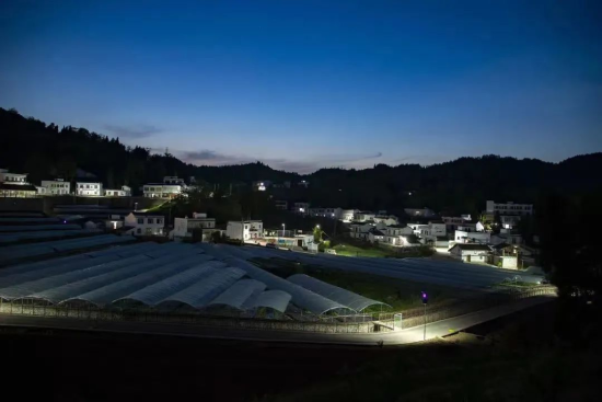 图为重庆市委宣传部扶贫集团。奥雅纳 供图 图为重庆市委宣传部扶贫集团。奥雅纳 供图
