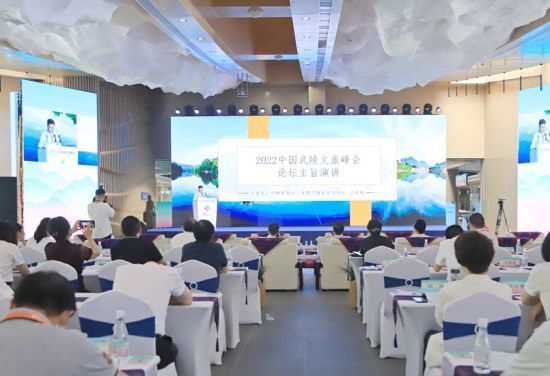 图为专家学者聚首2022中国武陵文旅峰会论坛。马佳欣 摄 图为专家学者聚首2022中国武陵文旅峰会论坛。马佳欣 摄