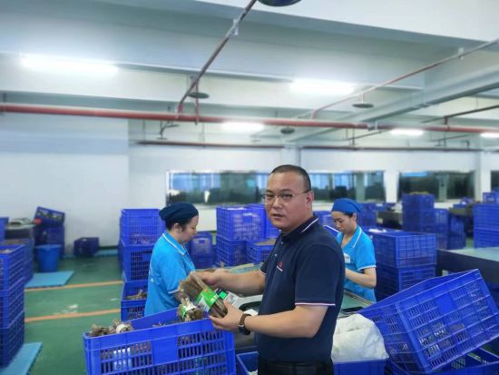 图为董明坤在粉丝生产车间。 陈建 摄 图为董明坤在粉丝生产车间。 陈建 摄