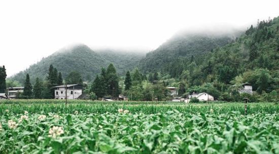 图为 黑水镇马鹿村。蔡震 摄 图为 黑水镇马鹿村。蔡震 摄