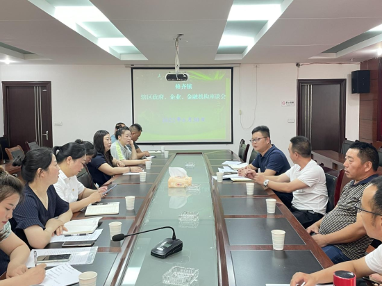 图为城口县修齐镇银政企三方交流座谈会。 陈玥圻 摄 图为城口县修齐镇银政企三方交流座谈会。 陈玥圻 摄