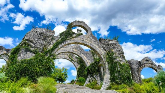 图为土家神鸟纹理艺术大门. 邱洪斌 摄