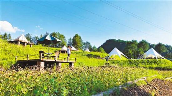 7月29日,桥头镇喜马拉雅野奢露营地,摄影爱好者正在拍照。 7月29日,桥头镇喜马拉雅野奢露营地,摄影爱好者正在拍照。