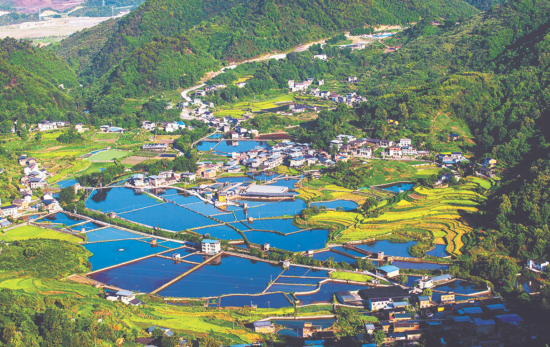 昔日采煤区今日满眼绿