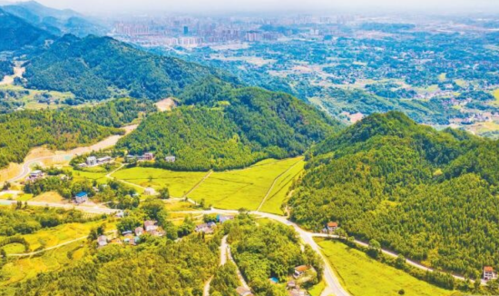 图为8月12日,即将建成的明月山内槽旅游健康路与森林、民房及稻田相互映衬,犹如一幅美丽的乡村画。 齐岚森 摄 图为8月12日,即将建成的明月山内槽旅游健康路与森林、民房及稻田相互映衬,犹如一幅美丽的乡村画。 齐岚森 摄