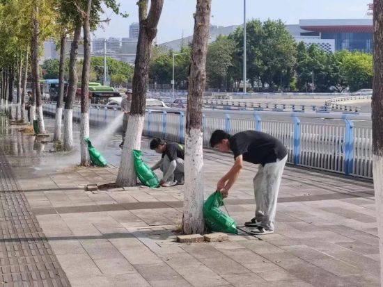 图为工作人员正积极开展抗旱保植工作。两江新区市政管护中心供图 图为工作人员正积极开展抗旱保植工作。两江新区市政管护中心供图