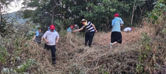 保亿物业人在巴南界石参与开辟防火隔离带 保亿物业人在巴南界石参与开辟防火隔离带