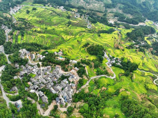 航拍酉阳花田乡何家岩村梯田. 陈碧生 摄