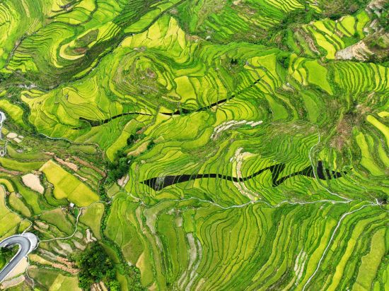 ��������������μ��Ҵ���� �±��� ��