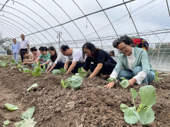 图为民建会员和专家帮助村民栽种蔬菜。 铜梁区委统战部供图