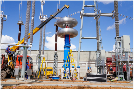 ͼΪ����������ԺԱ�����ڽ��е翹���������ӡ���������