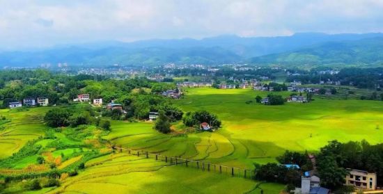图为梁平区聚奎镇田园风光。受访者供图 图为梁平区聚奎镇田园风光。受访者供图