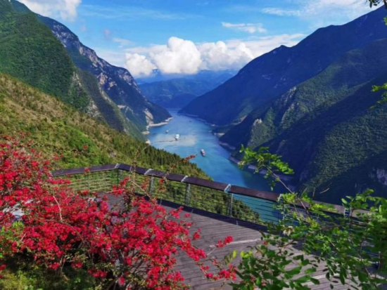 图为奉节美景。王正坤 图为奉节美景。王正坤