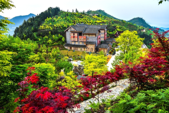 丰盛镇油房村彩色森林景区 丰盛镇油房村彩色森林景区