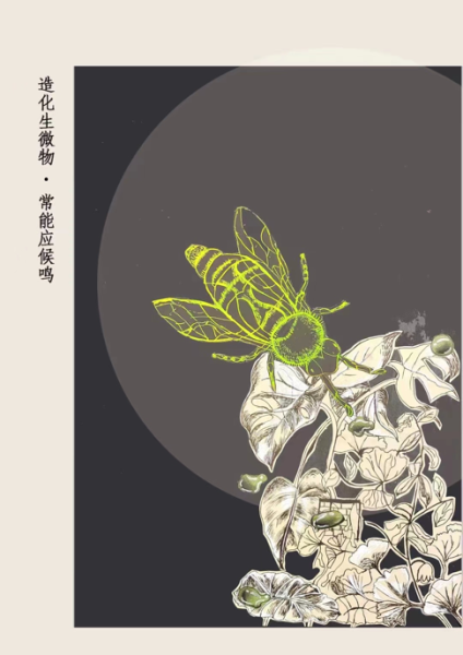 图为李柚可小业主作品。碧桂园供图 图为李柚可小业主作品。碧桂园供图