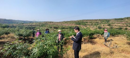 绿色金融活水注入到服务乡村振兴之中。建行重庆分行供图 绿色金融活水注入到服务乡村振兴之中。建行重庆分行供图