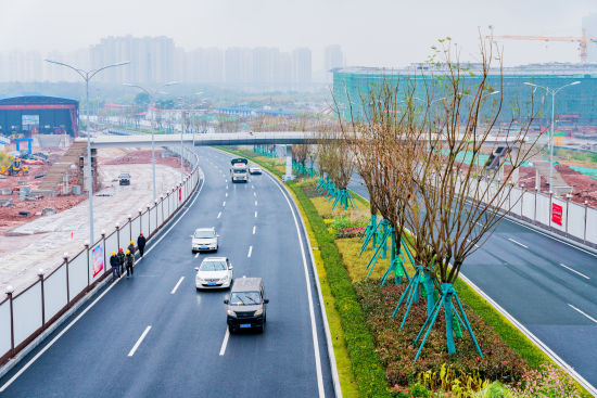 图为金州大道恢复通车。黄维正 摄 图为金州大道恢复通车。黄维正 摄