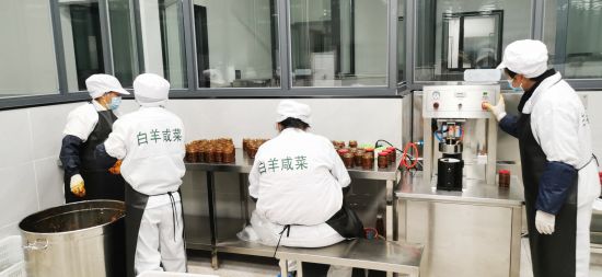 图为机械化生产咸菜产品。赵武强 摄 图为机械化生产咸菜产品。赵武强 摄