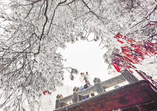 1月15日,北碚缙云山,美丽雪景吸引了不少市民前来观雪、赏雪、玩雪。首席记者 龙帆 摄/视觉重庆 1月15日,北碚缙云山,美丽雪景吸引了不少市民前来观雪、赏雪、玩雪。首席记者 龙帆 摄/视觉重庆