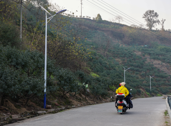 图为乡村公路旁安装的太阳能路灯,照亮村民出行路。 江津区委统战部供图 图为乡村公路旁安装的太阳能路灯,照亮村民出行路。 江津区委统战部供图