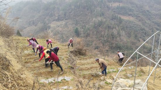 图为村民在田间耕种。摄影 罗泽政 图为村民在田间耕种。摄影 罗泽政