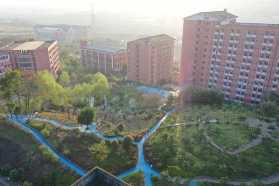 图为学校风景图。重庆文化艺术职业学院供图 图为学校风景图。重庆文化艺术职业学院供图