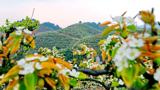 图为万盛美景。主办方供图 图为万盛美景。主办方供图