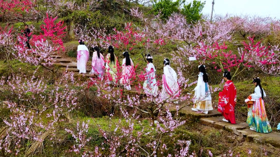 垫江鹤游镇分州古城首届桃花节开幕