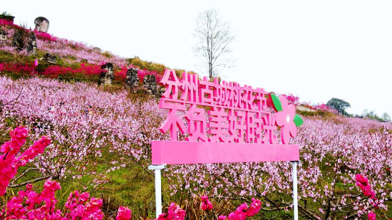 垫江鹤游镇分州古城首届桃花节开幕