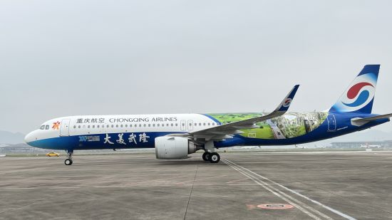 大美武隆号彩绘飞机启用仪式在重庆江北国际机场举行