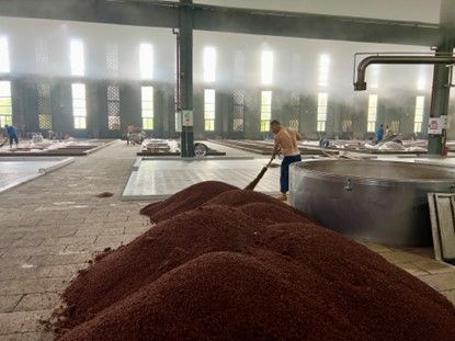 图为江小白使用高粱的酿酒车间。 钟旖 摄 图为江小白使用高粱的酿酒车间。 钟旖 摄
